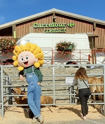 Foire de Seyne - Octobre 2020